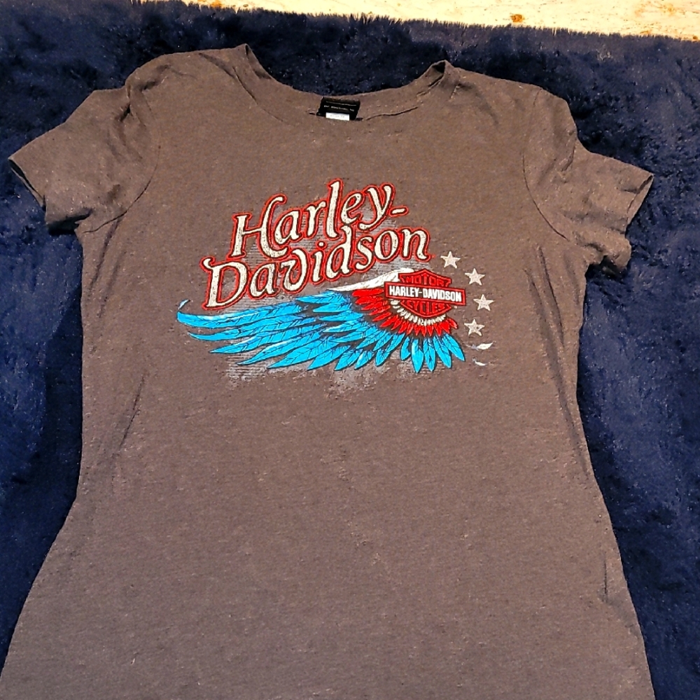 Harley-Davidson 2007 Horny Toad Temple Texas Vintage Tee In Excellent Condition